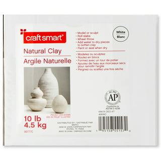 Modeling Clay Set by Craft Smart® 
