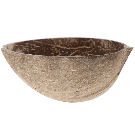 Natural Coconut Bowl Dried Fruit Plate Shell Food Bowls Empty Dish Storage Salad Tapas