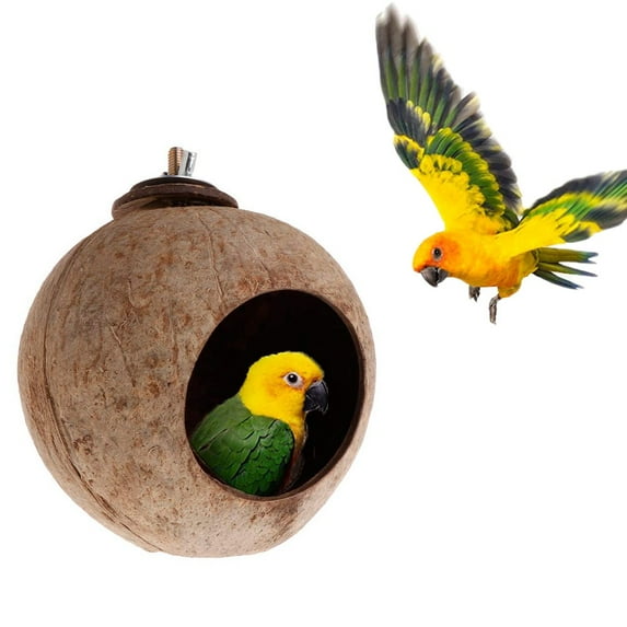 Natural Coconut Hamster Hideaway, Bird and Small Animal Toy