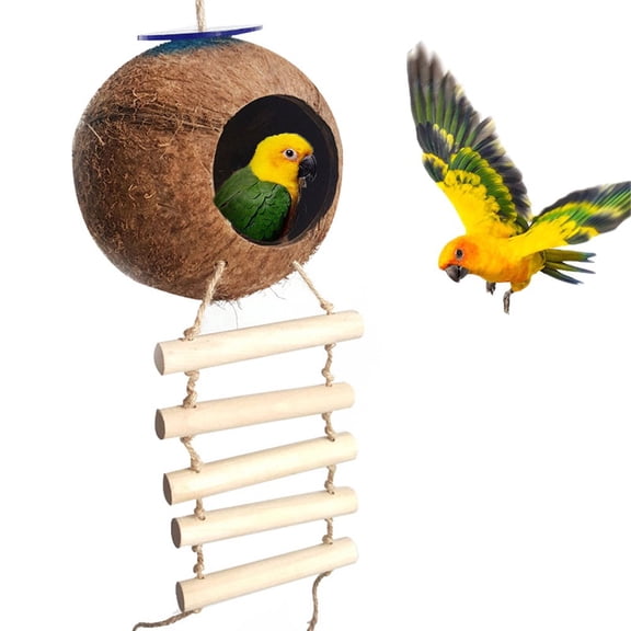 Natural Coconut Hamster Hideaway with Ladder, Bird and Small Animal Toy