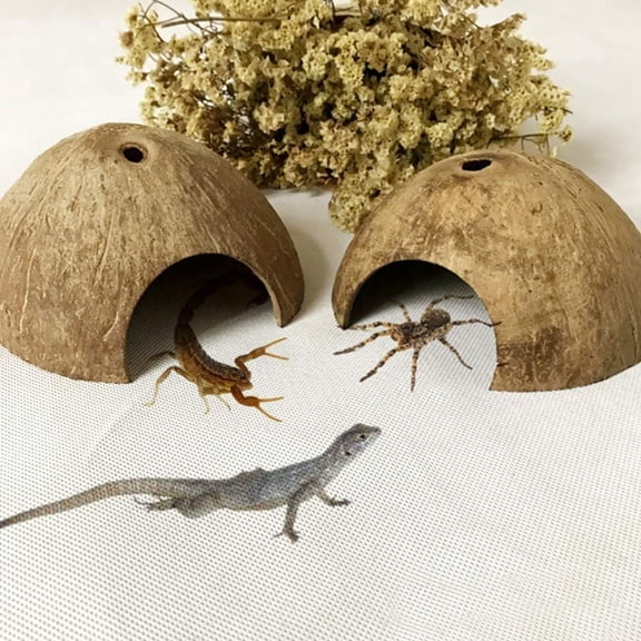 Natural Coconut Reptile Hideouts Lizard Coco Hut Hermit Crab Hut Aquarium Fish Hide Cave