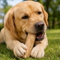 thumbnail image 1 of Natural Coffee Wood Dog Chew Stick, Durable Teeth Cleaning Toy For Bad Breath Relief, Hardwood No Splinter Safe Alternative To Nylon Bones, Satisfies Chewing Instinct, Small And Large Dog Sizes, 1 of 7