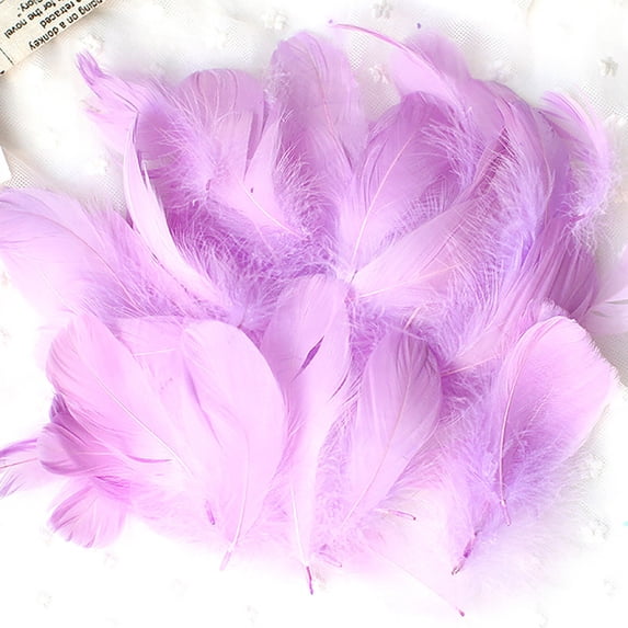50 Set Natural Colourful DIY Feather Craft Toy for Kids - Versatile Manual Decoration Material for Projects and Imaginative Play