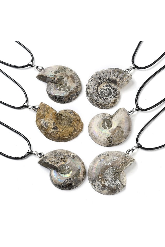 Natural Conch Fossil Pendant Necklaces Imitation Leather Cord Necklaces with Iron End Chains Black 20.28 inch(51.5cm)