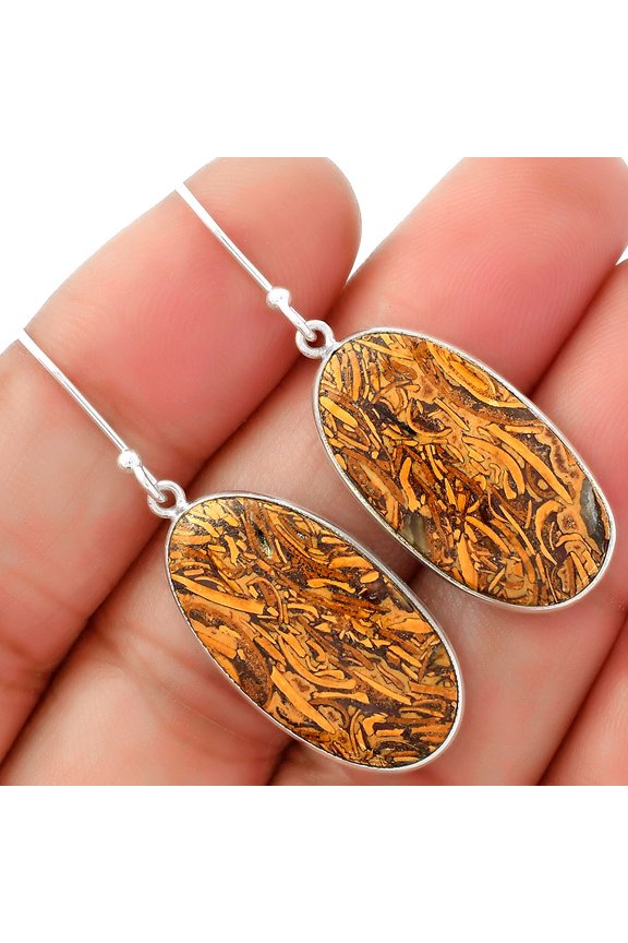 Natural Coquina Fossil Jasper - India 925 Sterling Silver Earrings Jewelry SDE62457