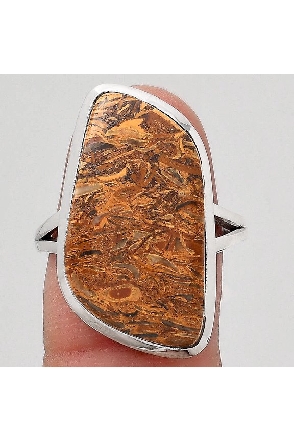 Natural Coquina Fossil Jasper India 925 Sterling Silver Ring s.8 Jewelry R-1005 SDR246856
