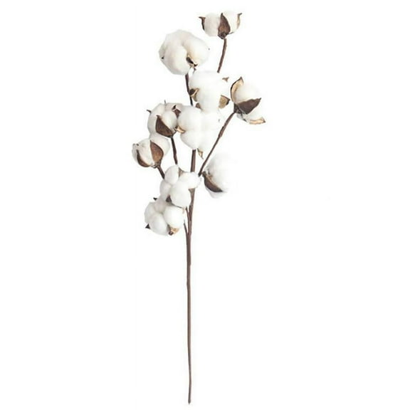 Natural Cotton Stems 21inch White Cotton Flower Branches with 10 Cotton Balls Farmhouse Rustic Style Vase Display Home Decor Wedding Decorations