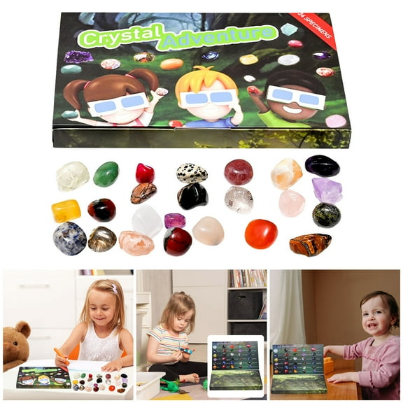 Natural Countdown Set 24 Educational Science Kit for Kids Christmas Advent Calendar Learning
