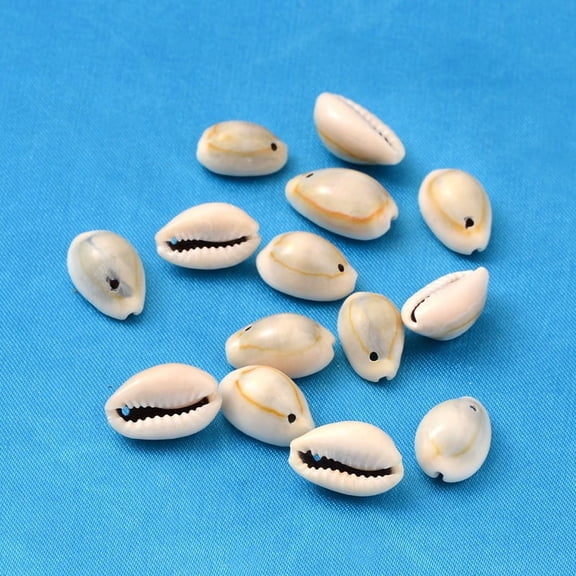 Natural Cowrie Shell Beads Dyed Seashell color Size: 18~20mm long 13~14mm wide 6~8mm thick hole: 2mm