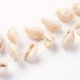 thumbnail image 1 of Natural Cowrie Shell Beads Strands Bisque 17-19x10-14x8-9mm Hole: 1mm 26pcs/strand 15.5 inch(39.5cm), 1 of 3
