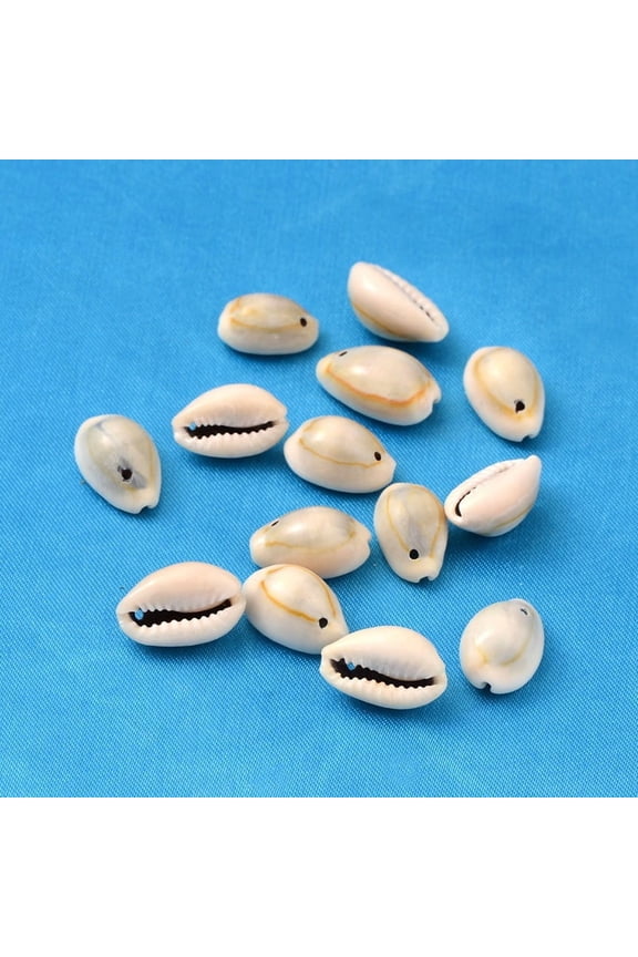 Natural Cowrie Shell Pendants Shell Shaped Charms Seashell Color 18~20x13~14x6~8mm Hole: 2mm 340pcs/500g for DIY