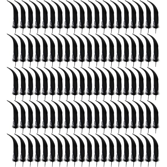 Natural Craft Feather Black Feather For Hat Earrings Jewelery Decoration