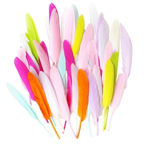 Natural Crafting DIY Feather Toy Set for Kids - 50 Colorful Animal Feathers for Arts and Crafts Projects