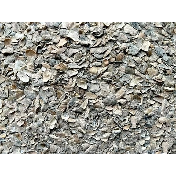 Natural Crushed Oyster Shell for Bocce Ball Court Base Layer, 1/2 Cubic Foot$$Sport & Recreation Other
