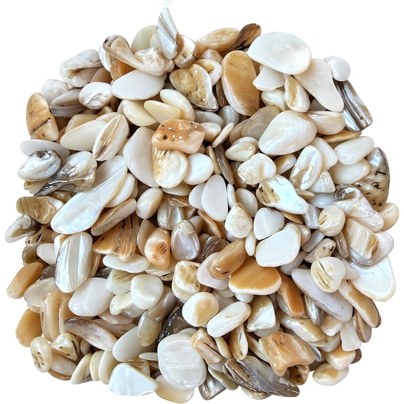 Natural Crushed Shells Chips Irregular Mother of Pearl Seashell ...