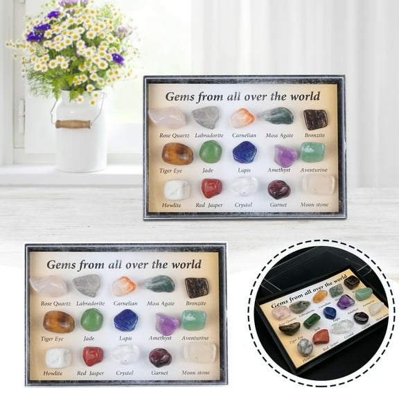 Natural Crystal Advent Calendar Agate Stone Rocks Minerals Fossils Collection 15 Days Christmas Countdown Surprise Box for Science Lovers Geology Enthusiasts