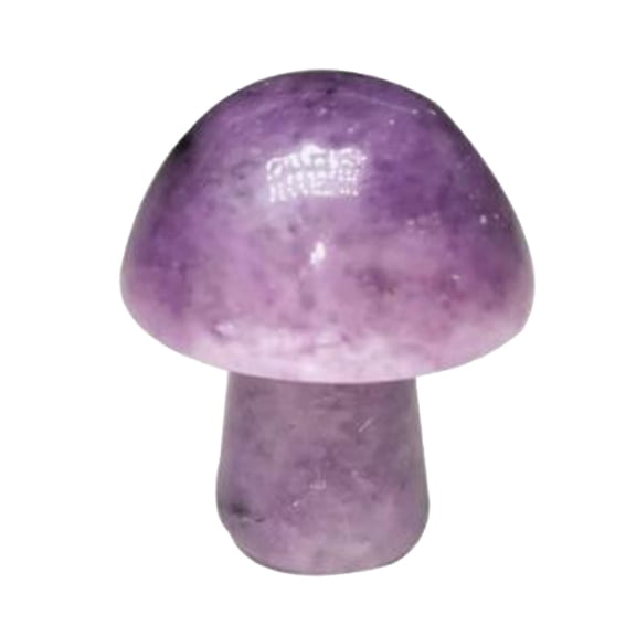Natural Crystal Mushroom Shape Mini Small Semi Precious Stones Agate Rose Quartz Amethyst For Home Decor Fish Tank Flower Pot Diy Craft