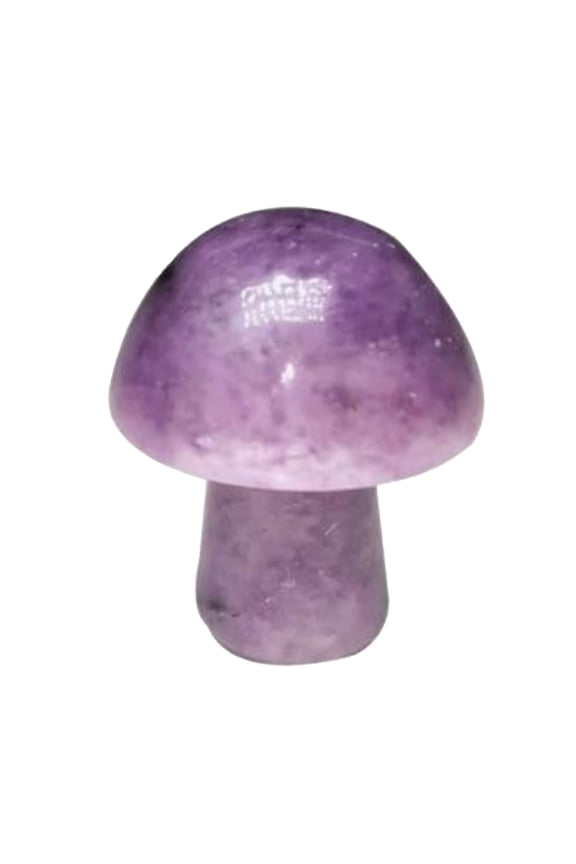 Natural Crystal Mushroom Shape Mini Small Semi Precious Stones Agate Rose Quartz Amethyst For Home Decor Fish Tank Flower Pot Diy Craft