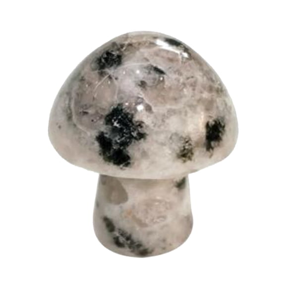 Natural Crystal Mushroom Shape Mini Small Semi Precious Stones Agate Rose Quartz Amethyst For Home Decor Fish Tank Flower Pot Diy Craft