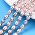 thumbnail image 1 of Natural Cultured Freshwater Pearl Beads Strands Rice Thistle 7.2-8x5.5-6mm Hole: 0.7-0.8mm 44-45pcs/strand 13.58 inch(34.5cm), 1 of 6