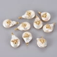 thumbnail image 1 of Natural Cultured Freshwater Pearl Pendants with Brass Cubic Zirconia Cabochons Long-Lasting Plated with Bees Real 18K golden Plated 11.5~18x15.5~23x5~8mm Hole: 1.4mm, 1 of 2