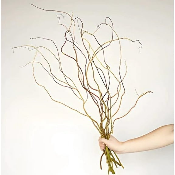 Natural Curly Willow Branches for Decor, 1-2 Feet Long - Wedding or Christmas Decor, Wreathmaking (20 Branches)