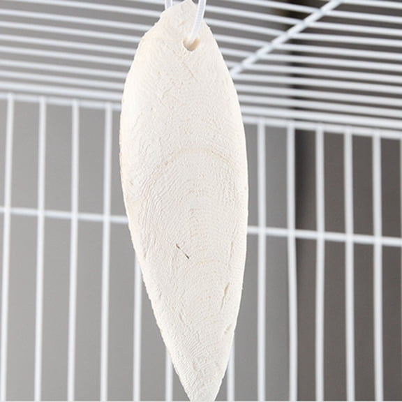 Natural Cuttlebone for Birds Calcium Supplement Parrot Chewing Toy Teeth Grinding Cuttlefish Bone for Parrots and Tortoises
