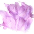 thumbnail image 1 of Natural DIY Feather Craft Kit Animal Manual Material Decoration Art Project Toy for Kids, 1 of 2
