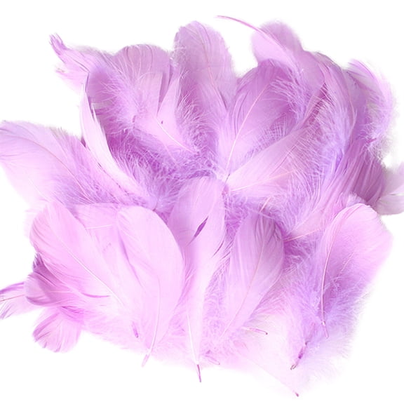 Natural DIY Feather Craft Kit Animal Manual Material Decoration Art Project Toy for Kids