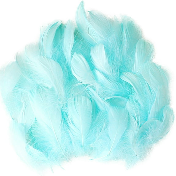 Natural DIY Feather Craft Kit Animal Manual Material Decoration Art Toy for Kids