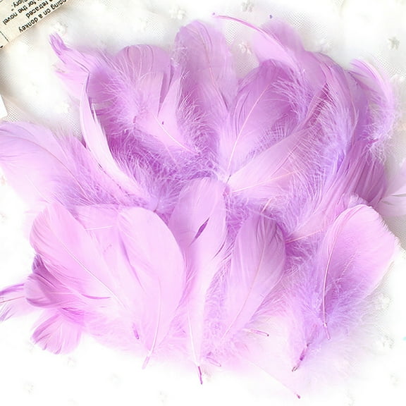 Natural DIY Feather Craft Kit for Kids Animal Feather Art Supplies Manual Decoration Toy Educational Arts & Crafts Project