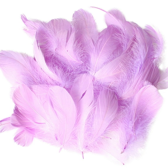 Natural DIY Feather Craft Kit for Kids Arts and Crafts Animal Feather Decoration Toy 50 Set Colorful Manual Material