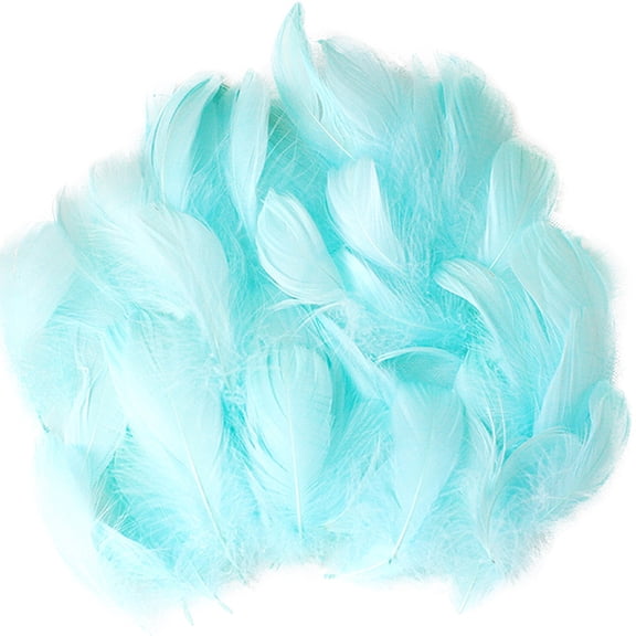 Natural DIY Feather Craft Kit for Kids Arts and Crafts Toy Animal Feather Decoration Material 50 Set Colorful Manual Activity