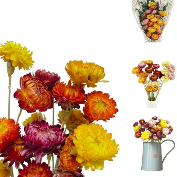 Natural Daisy Mums Flower,QZS Natural Dried Daisy Bouquet,20Pack,Dry Flower Arrangements for Office,Garden,Porch,Crafts