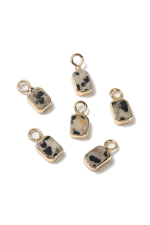Natural Dalmatian Jasper Rectangle Charms with Golden Tone Brass Edge 9.5x5x2.5mm Hole: 2mm