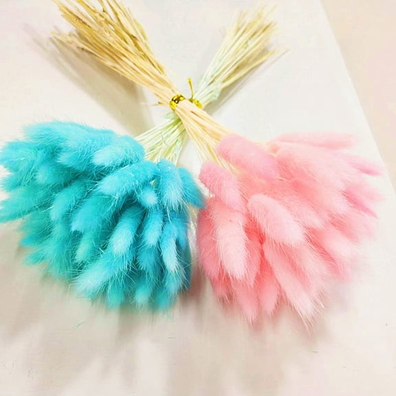 Natural Dried Bunny Tail Grass Real Flower Eternal Flower Lagurus Ovatus Dry Grass Dried Flowers Pampas Grass Bouquet Rabbit Tail Grass Stems forHome Decor and Fall Theme Decorati(Pink/Blue)