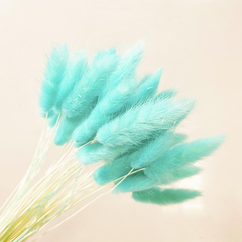 Natural Dried Bunny Tail Grass Real Flower Eternal Flower Lagurus Ovatus Dry Grass Dried Flowers Pampas Grass Bouquet Rabbit Tail Grass Stems forHome Decor and Fall Theme Decorati(7"/White)