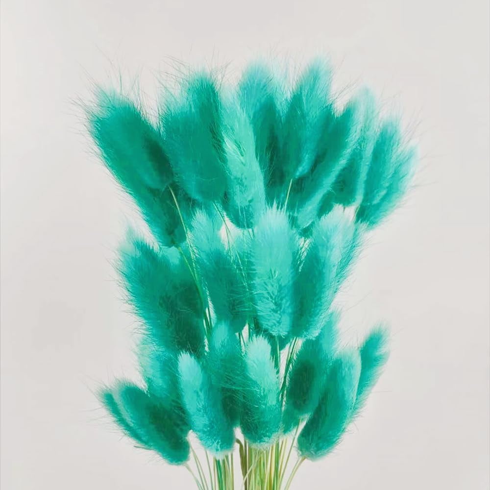 Natural Dried Bunny Tail Grass Real Flower Eternal Flower Lagurus Ovatus Dry Grass Dried Flowers Pampas Grass Bouquet Rabbit Tail Grass Stems forHome Decor and Fall Theme Decorati(7"/White)