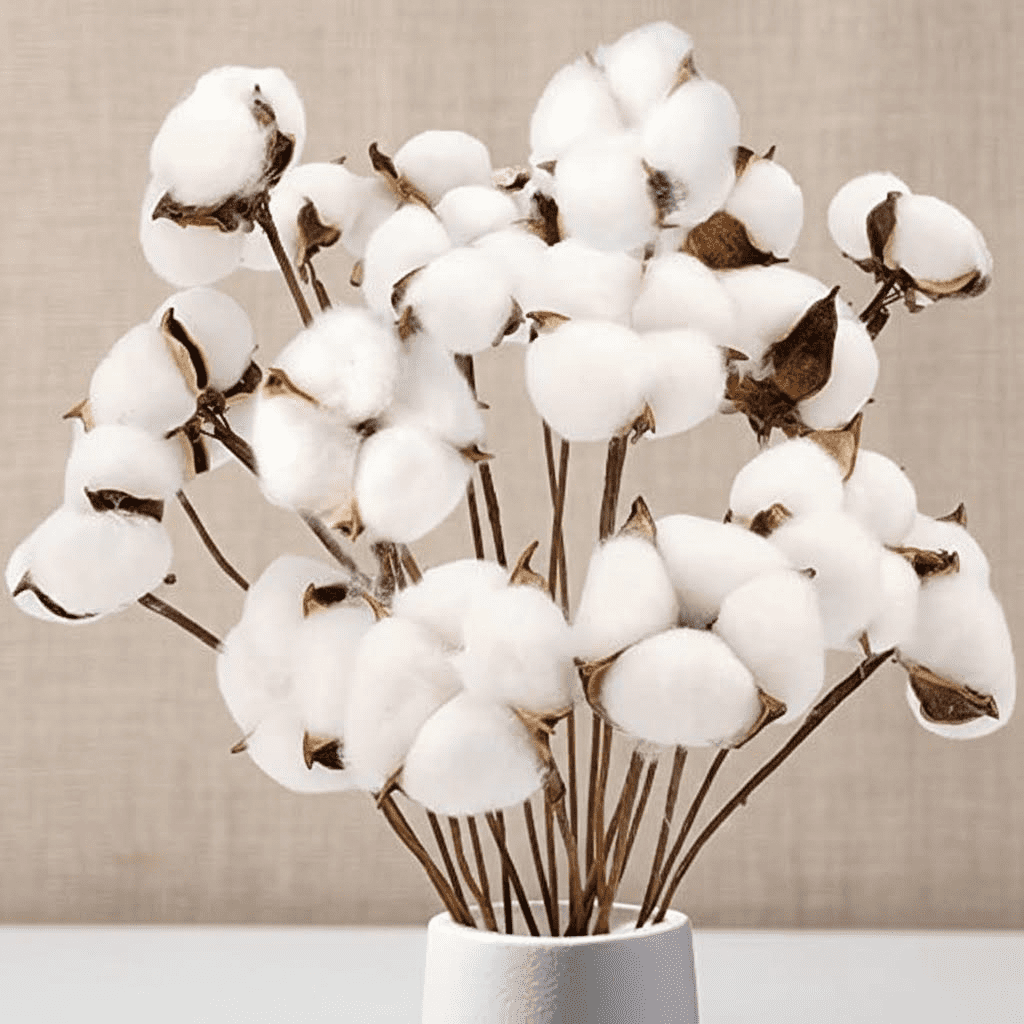 Natural Dried Cotton Stems with Bolls, 8 Pack of Floral Stems for Vase Fillers, Fall Home Decor, DIY Crafts and Rustic Floral Arrangements
