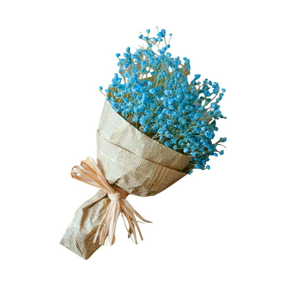 Natural Dried Flower Gypsophila for Home Decoration in Multiple Colors Beautiful and Versatile