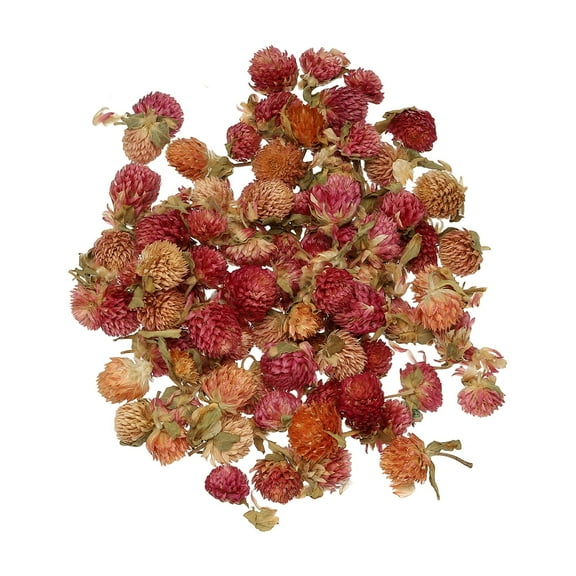 NaturalDriedFlowerSet,DriedPressedFlowers (Globe Amaranth)