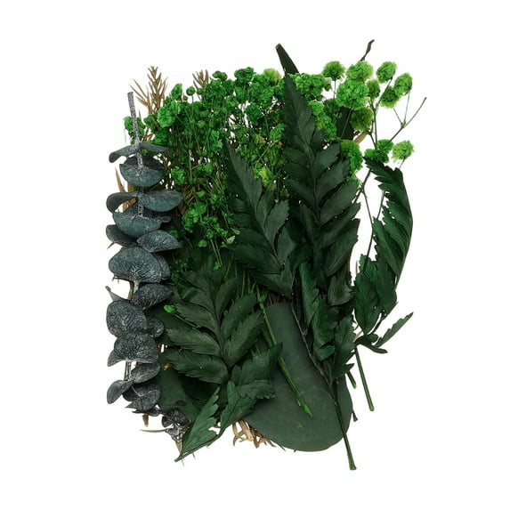 Natural Dried Flower Set, Dried Pressed Flowers (Green Leaves)