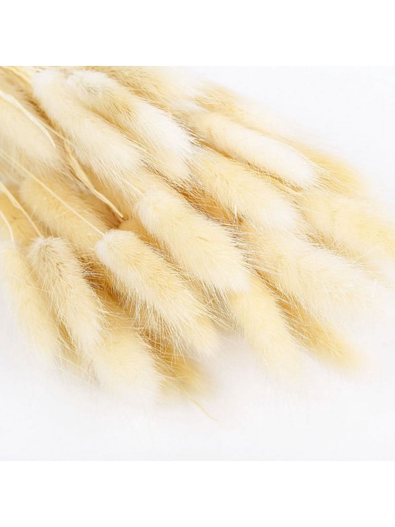 Natural Dried Flowers 50 Pcs Dried Pampas Grass Rabbit Tail Grass Photo Props Bouquet Arrangements Wedding Party Home Decor
