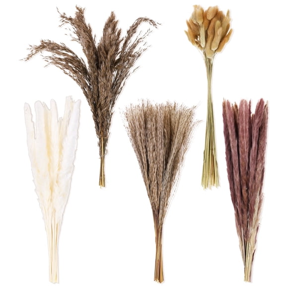 Natural Dried Flowers, Boho Pampas Grass Bouquet, Rustic Farmhouse Home Decor, DIY Wedding Table Arrangement, Fluffy Dried Grass Stem for Indoor Aesthetic Decoration