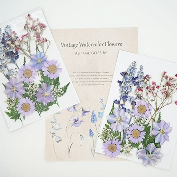 Natural Dried Flowers Combination DIY Dry Flower Decorative For Crafts Jewelry