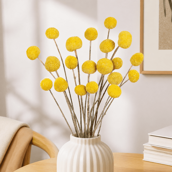 Natural Dried Flowers Craspedia Billy Balls, Yellow
