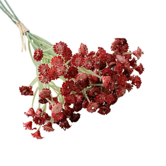 Natural Dried Flowers, Small Star Daisy Dried Decorative Mini Chamomile Bouquet for Wedding Floral Arrangements Home Decorations Valentine's Day Gifts Red