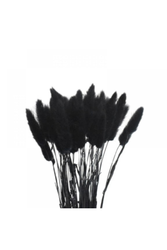 Natural Dried Lagurus ovatus 50 Pcs, Dried Bunny Tails Pampas for Flower Arrangements Wedding Home Decor