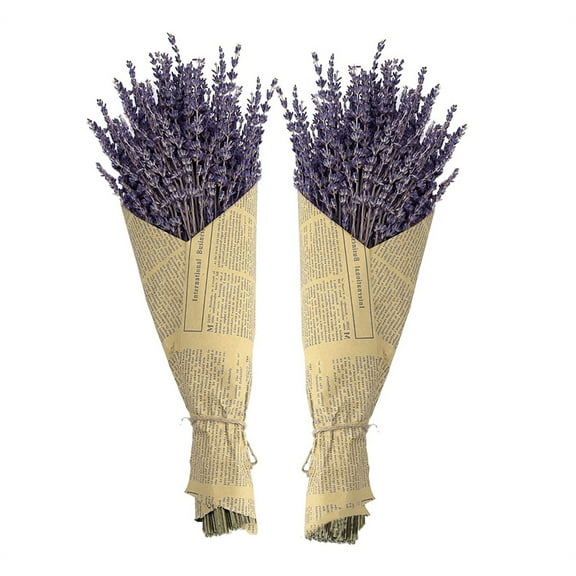 Natural Dried Lavender Bundles,Real Dry Flower for Photography,Home Decor Dried Flowers,for Crafts, Gift,Wedding or Any Occasion (Set of 2)