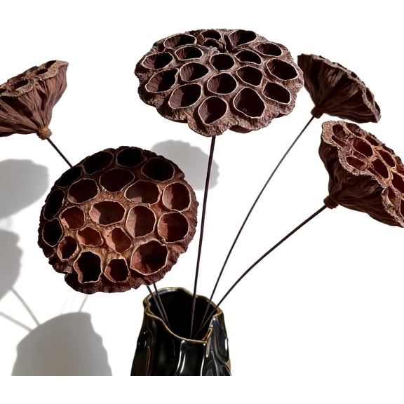 Natural Dried Lotus Pods with Stems, 5Pcs 20 Inch - Real Dried Flowers for Vase, Wedding Decor, Farmhouse Boho Rustic Home, No Maintenance Long Lasting